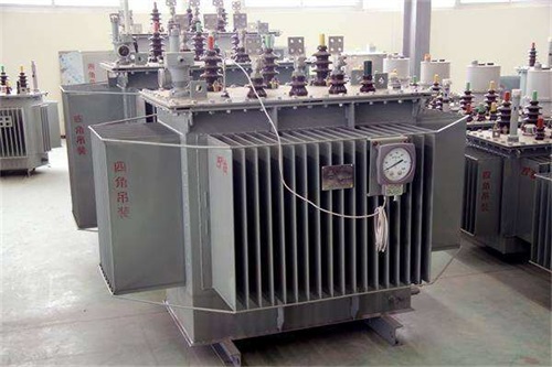 遂平S11-315KVA/10KV/0.4KV油浸式变压器